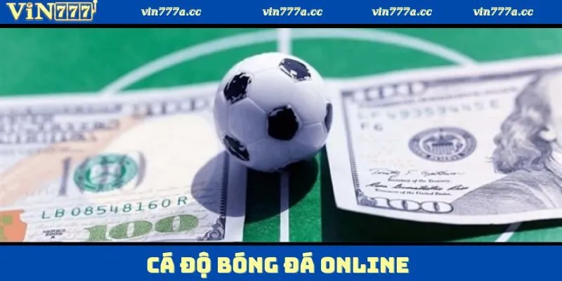 Cá Độ Bóng Đá Online