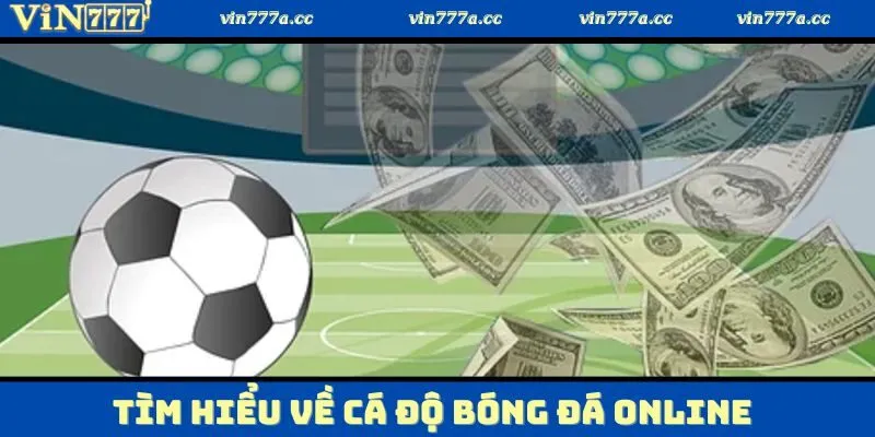 Giới thiệu tổng quan về cá độ bóng đá online Vin777