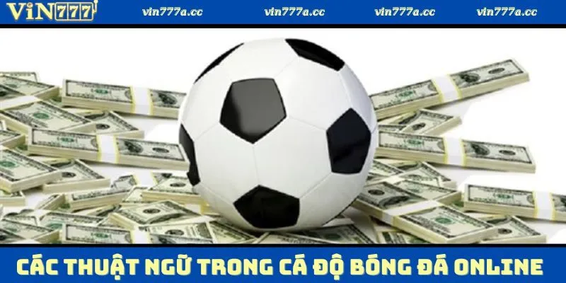 Một vài thuật ngữ cần ghi nhớ khi tham gia cá độ bóng đá online