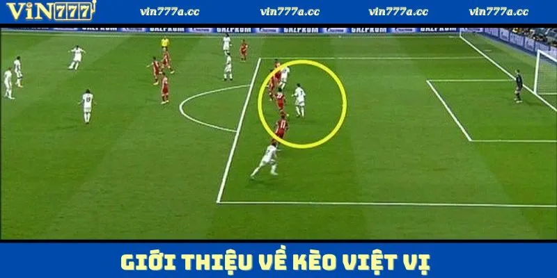 Tìm hiểu một vài nét cơ bản về kèo việt vị tại Vin777